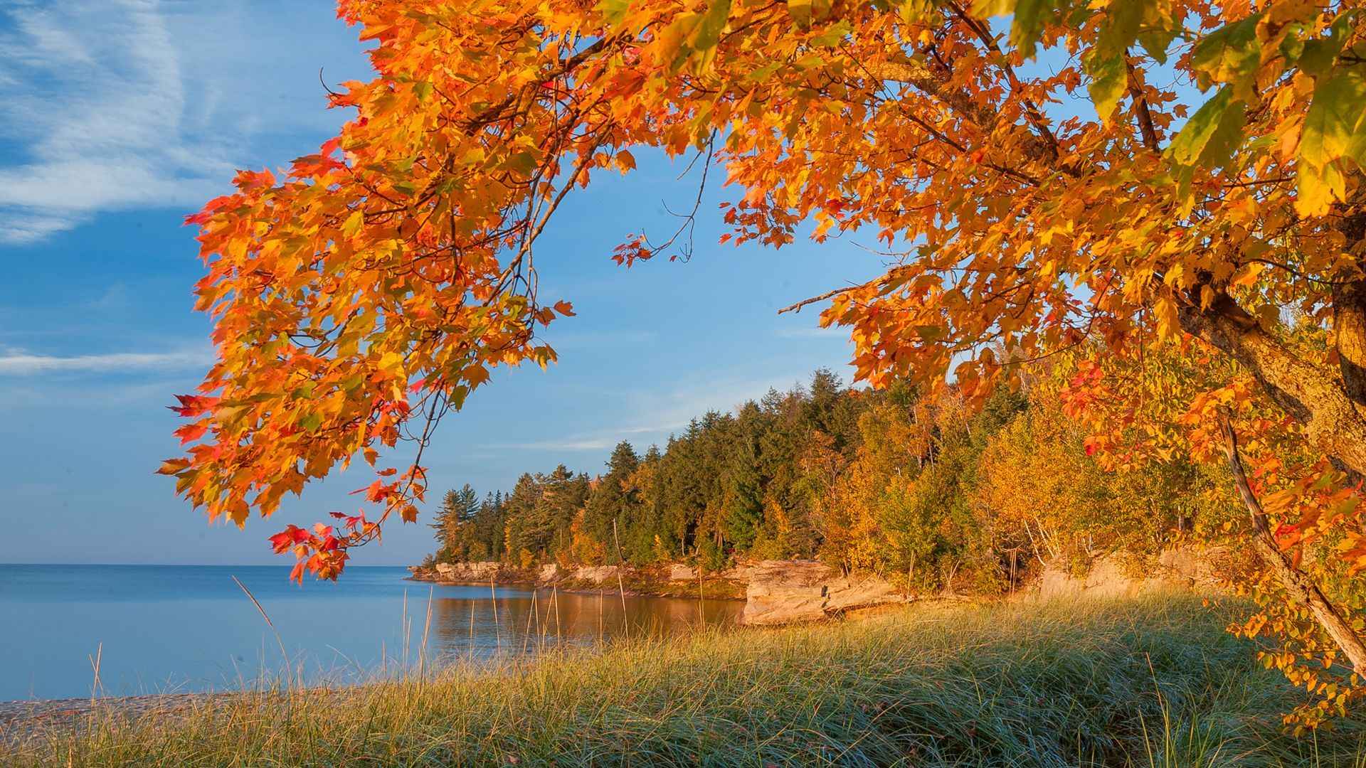 秋季唯美壁纸风景图片-