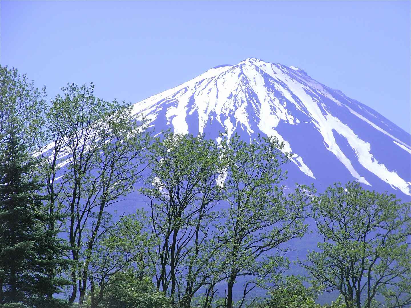 美丽富士山壁纸图片-