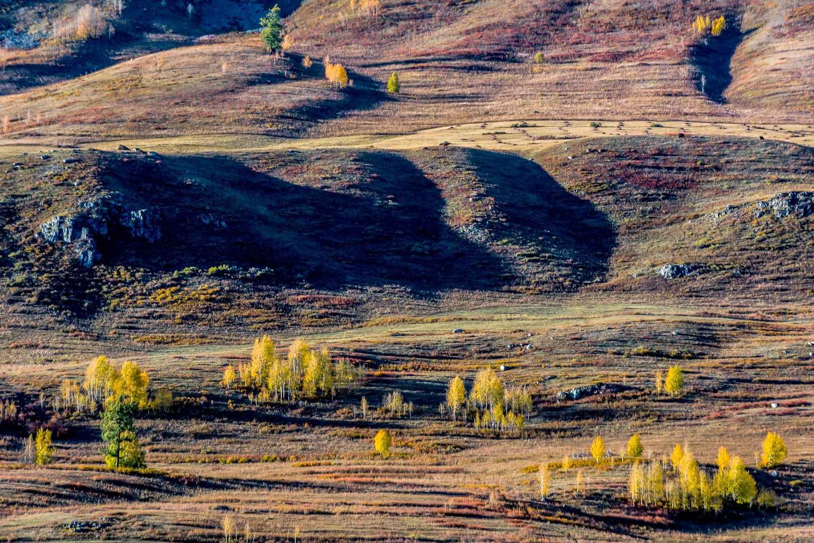 新疆禾木秋色风景图片-