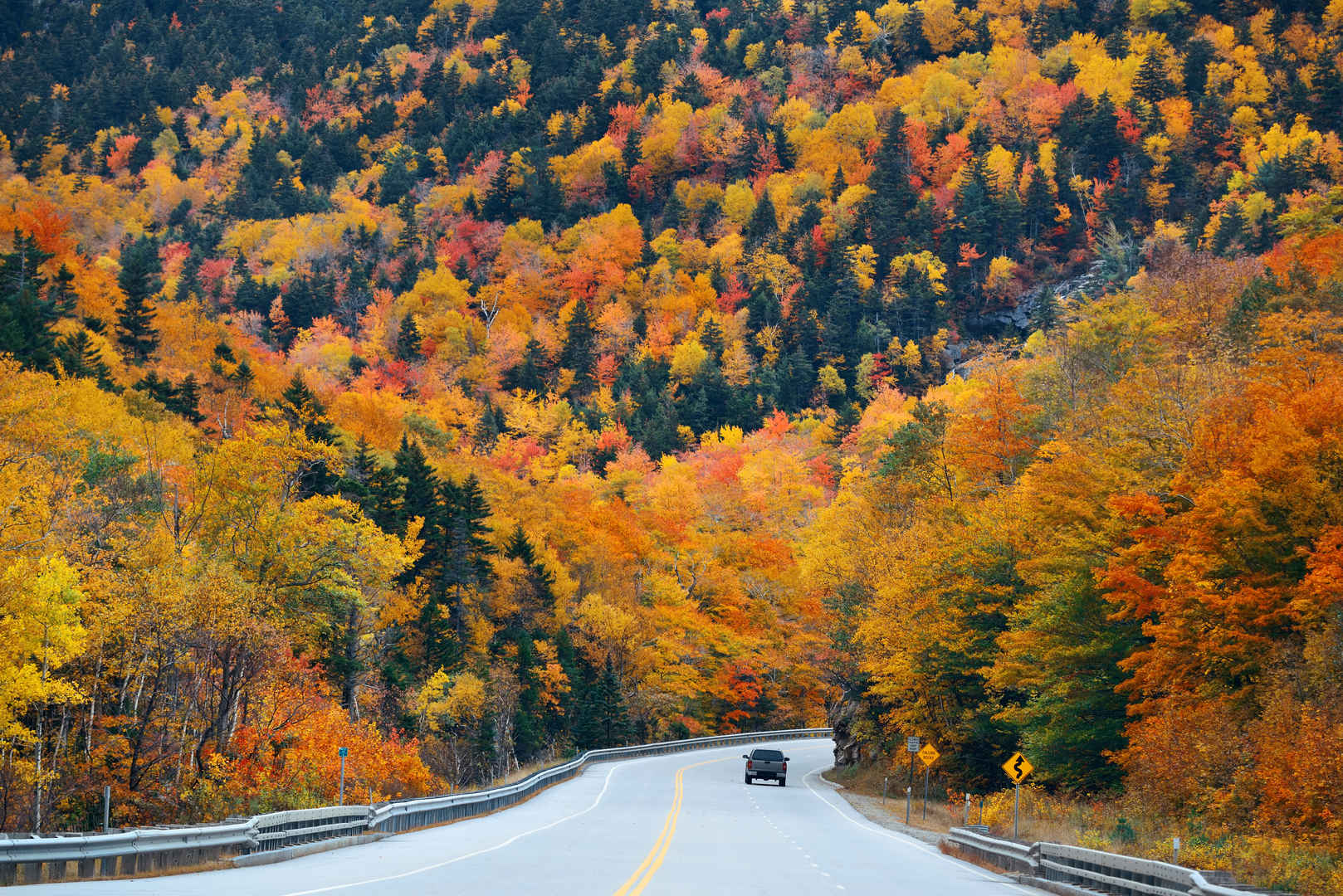 黄色秋季林间道路自然风景5K壁纸-