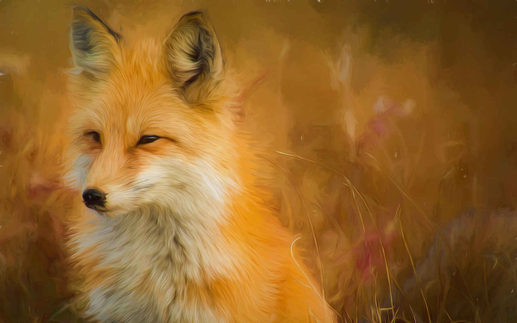 狐狸插画桌面壁纸