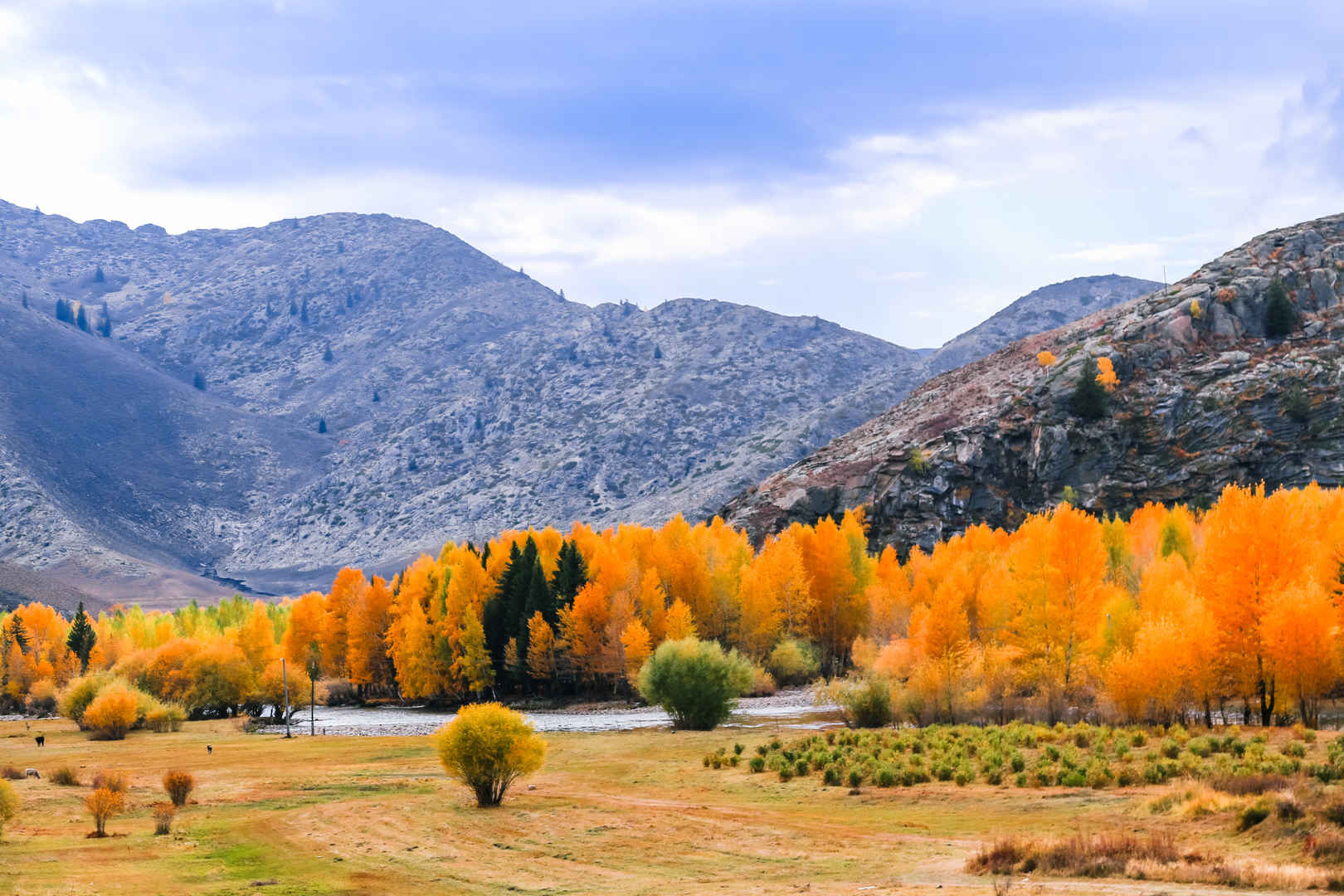 新疆可可托海的金秋景色-