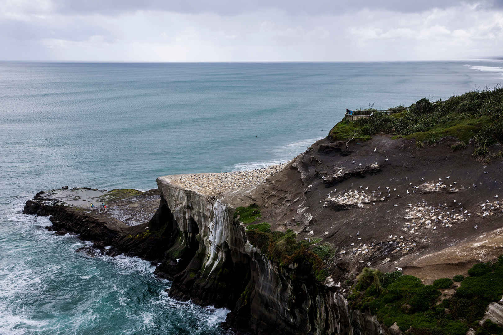 新西兰鸟岛风景图片-