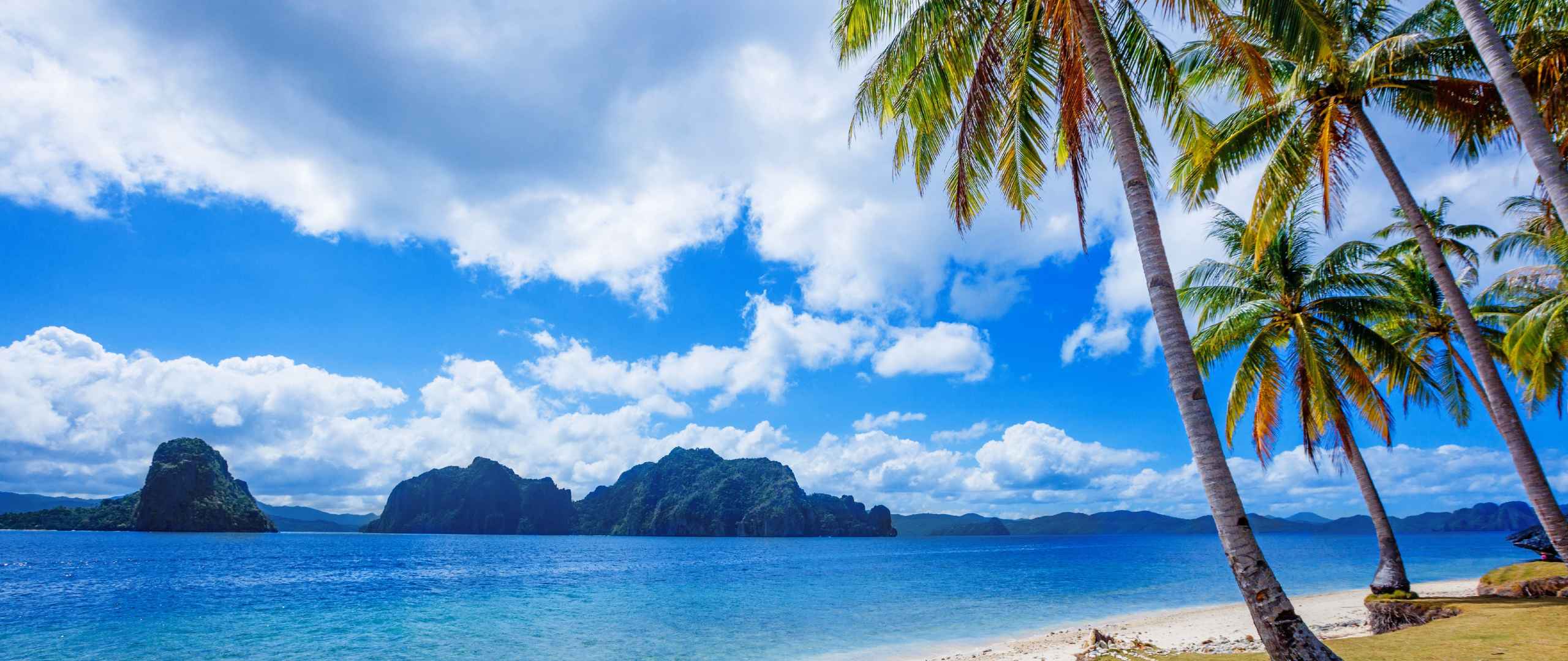 热带菲律宾榈树海滩5K风景壁纸