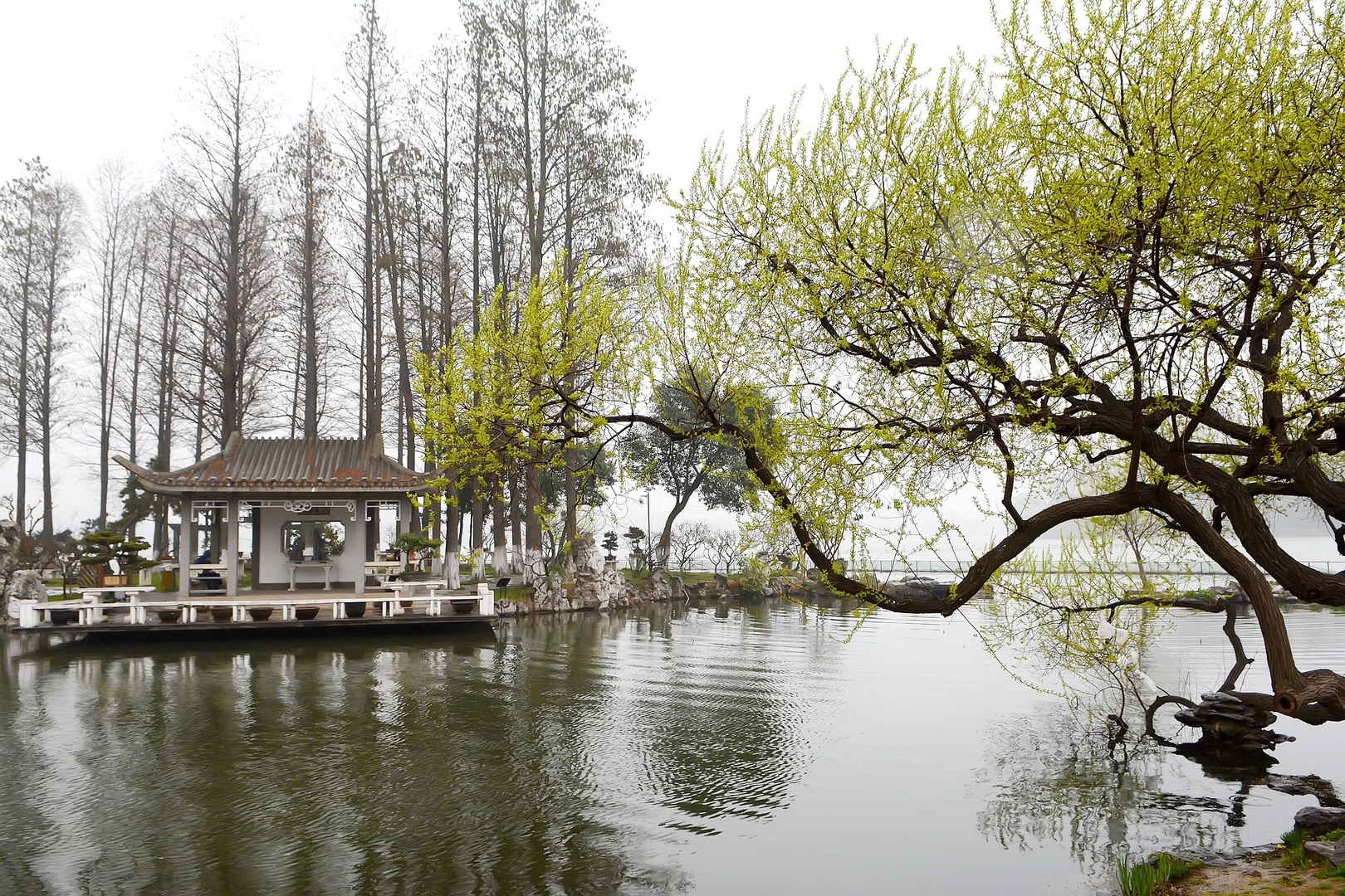 南京玄武湖公园壁纸图片