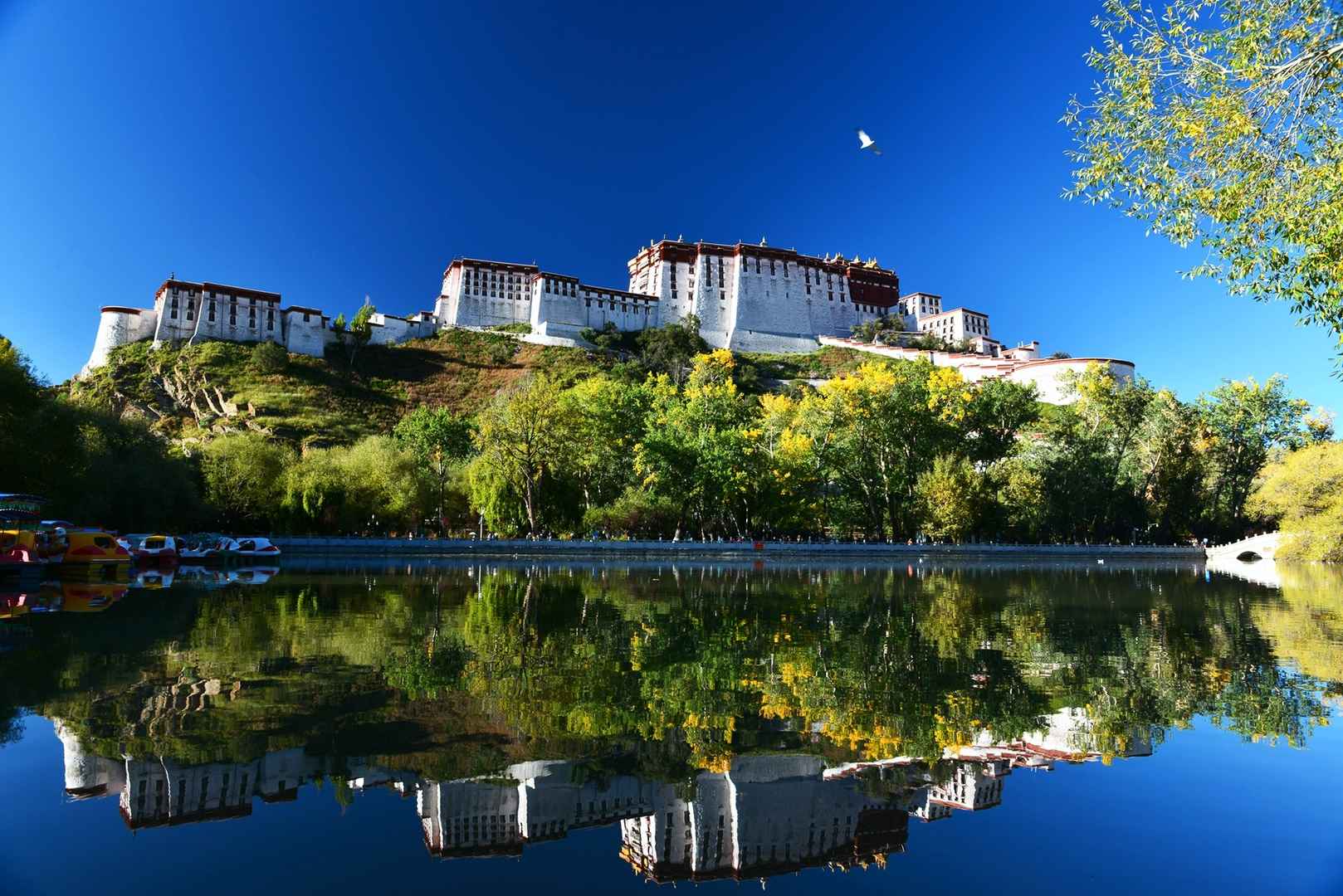 西藏布达拉宫壁纸图片-