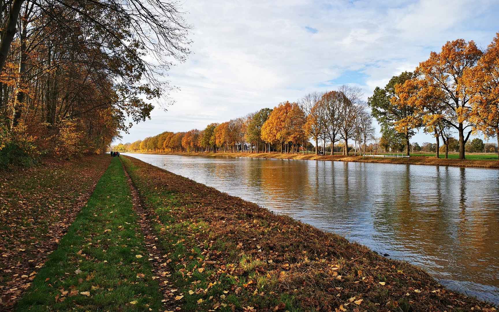 秋天 树木 河流壁纸
