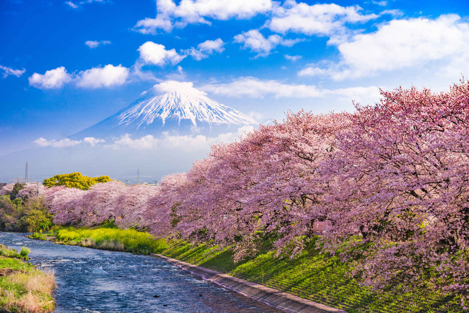 6K富士山樱花壁纸-