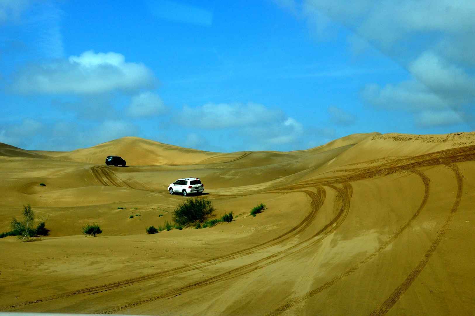 内蒙古库布齐沙漠壁纸图片