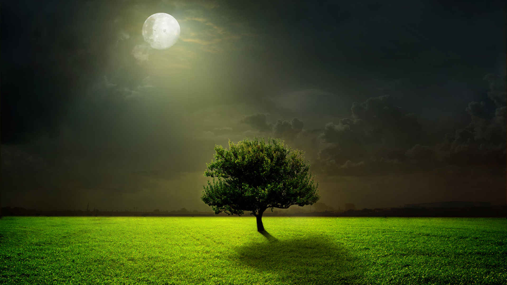 月光下的绿茵草地一棵树壁纸
