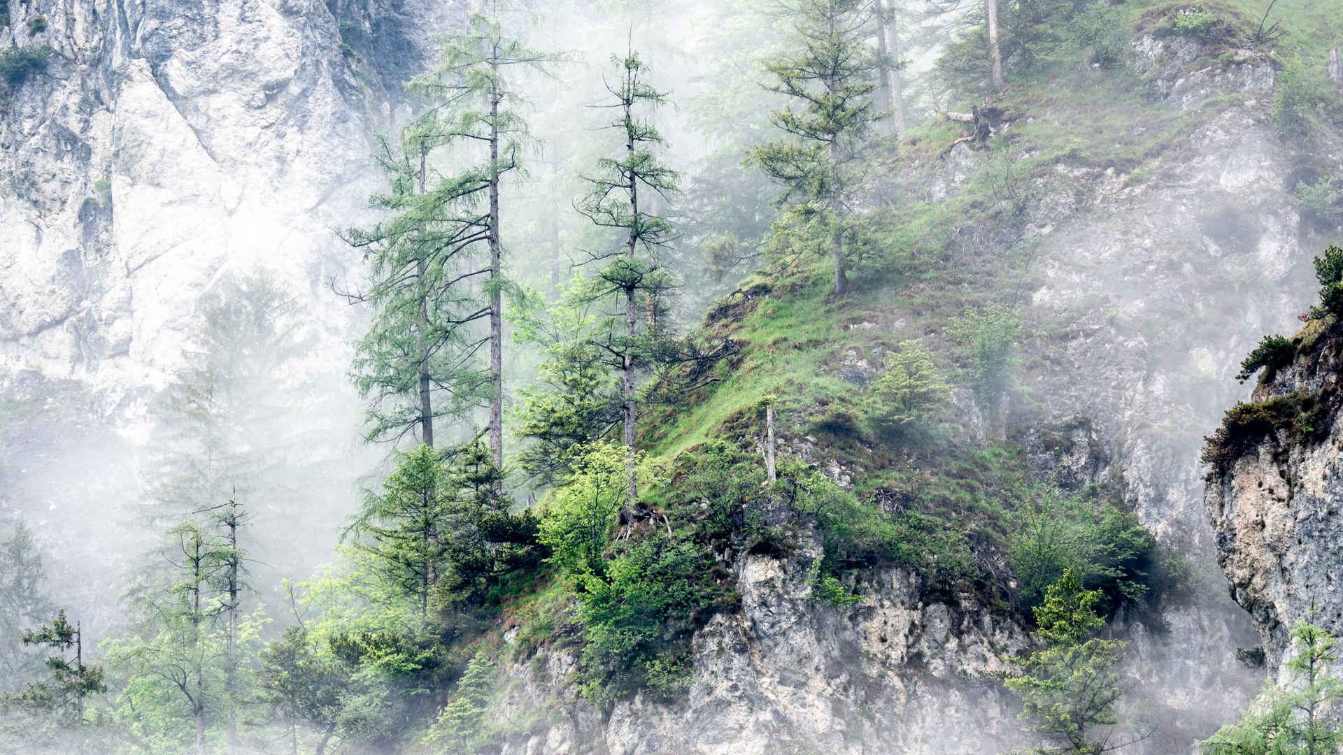 山林雾气缭绕壁纸图片-