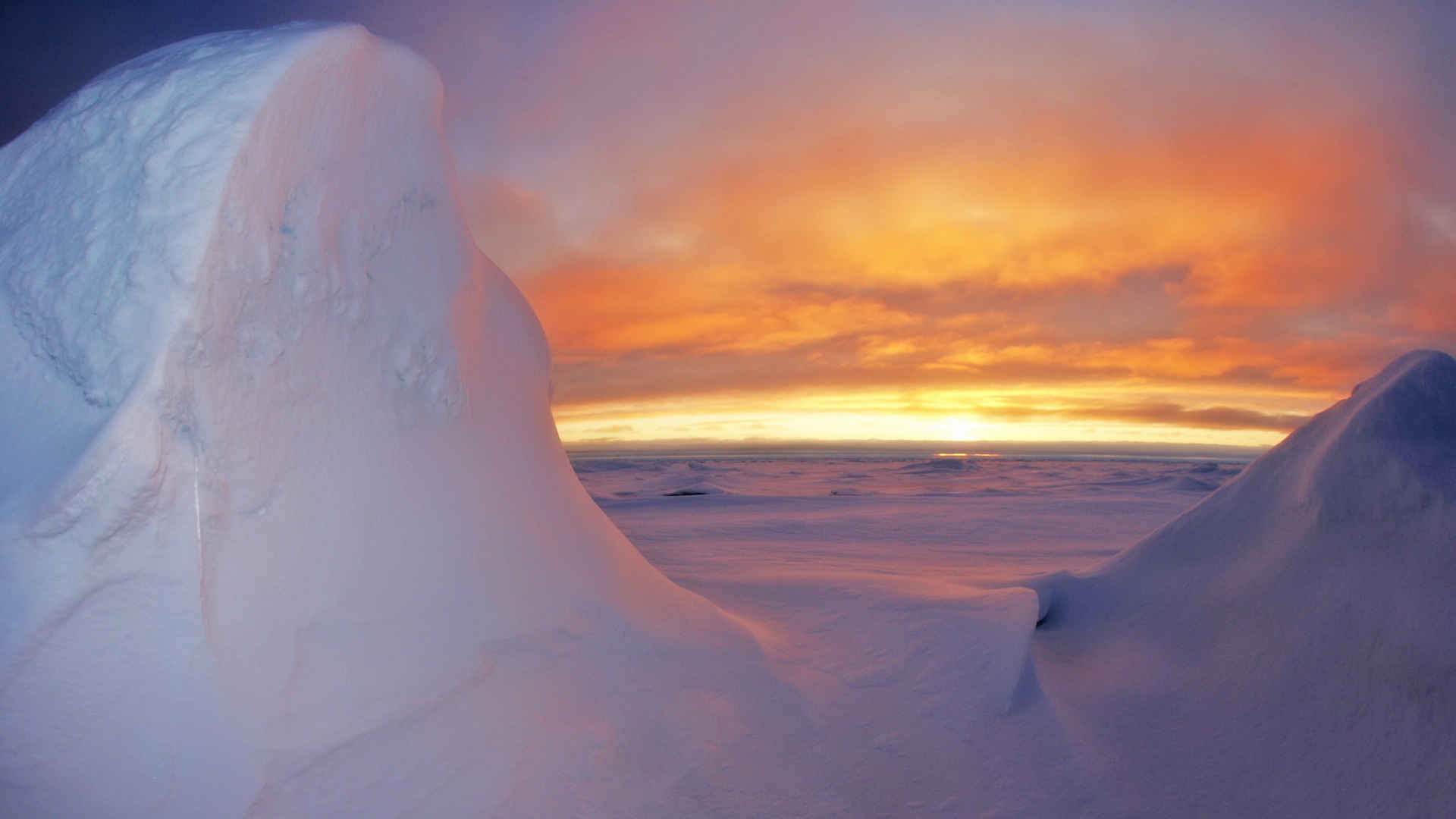 严寒的北极冰川图片-