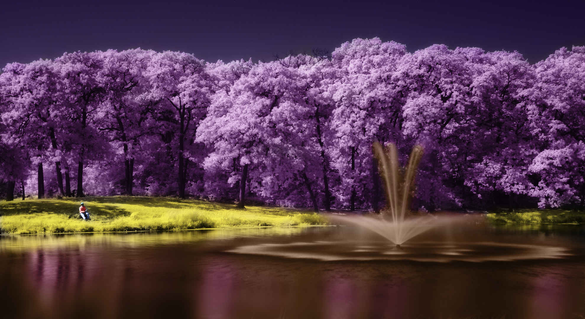 紫色树木湖泊唯美艺术壁纸
