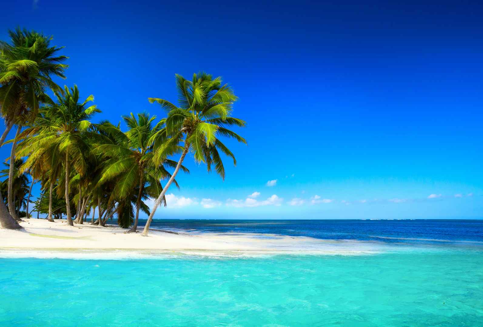 热带地区蓝色大海沙滩棕榈树壁纸