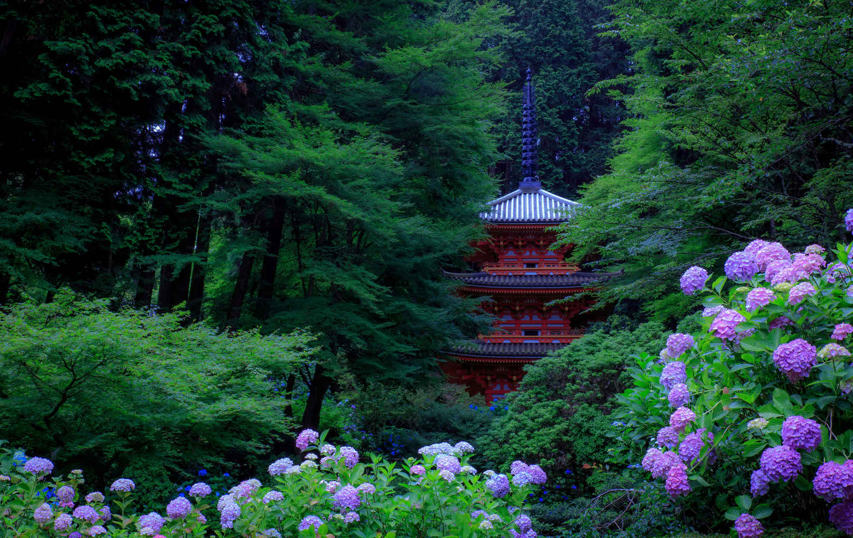 日本京都公园绿色树木灌木绣球花塔壁纸