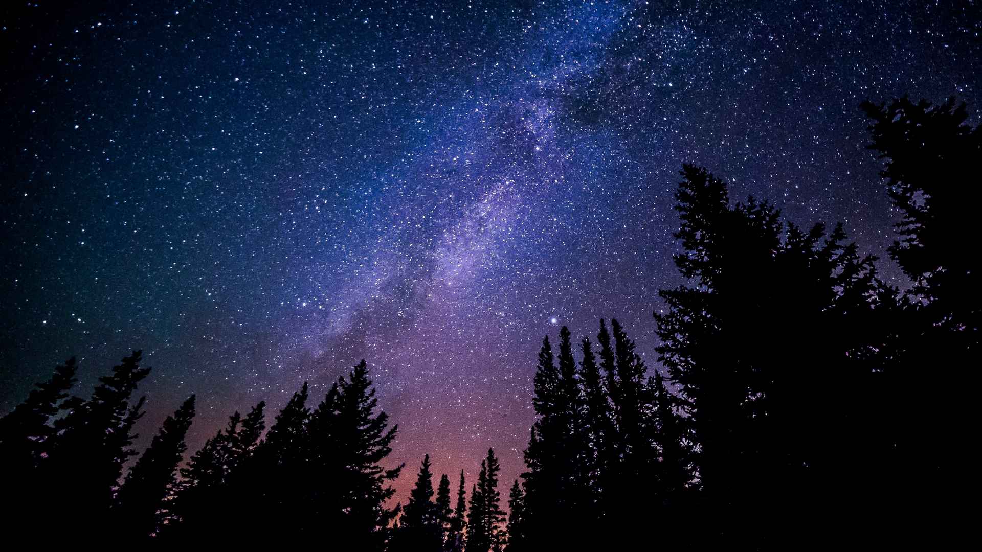 蓝色星空摄影自然夜森林里星空摄影照-