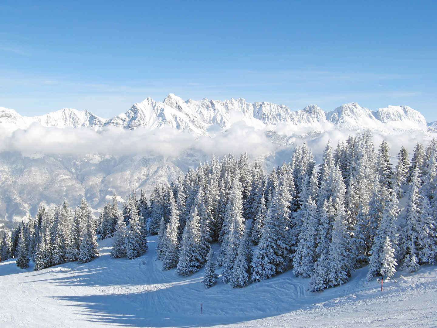 自然风景洁白冬季山林雪景电脑壁纸-