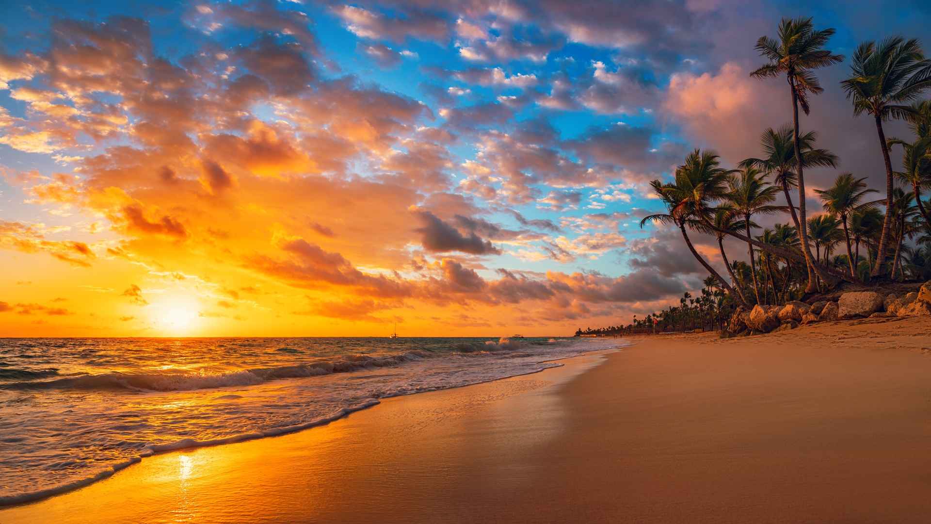 海边 夕阳 黄昏 海滩  椰树4k图片-