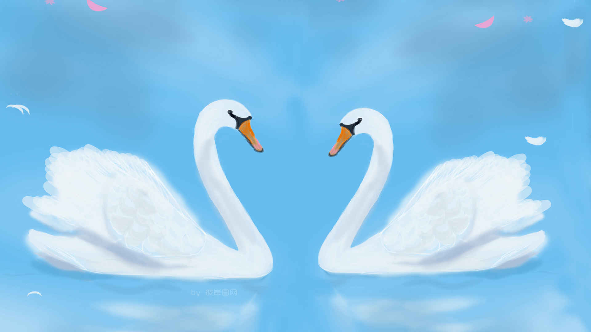 两只浪漫白天鹅插画图片