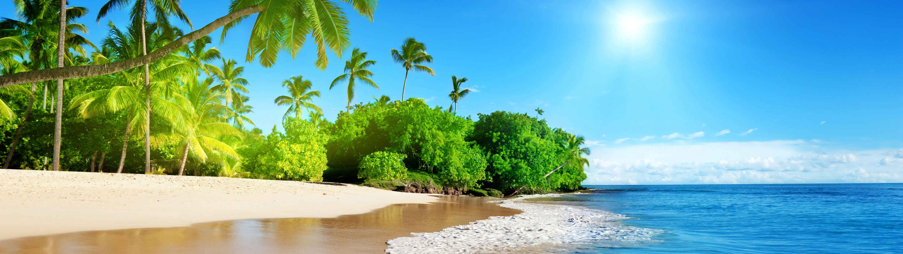 蔚蓝的大海 阳光 棕榈树 海岸 美丽海滩5120x1440风景壁纸