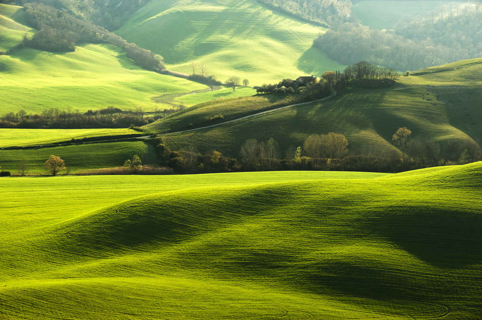 农场 意大利 托斯卡纳区 绿色领域 草地 爬坡道 田园 树 风景 · 4k壁纸