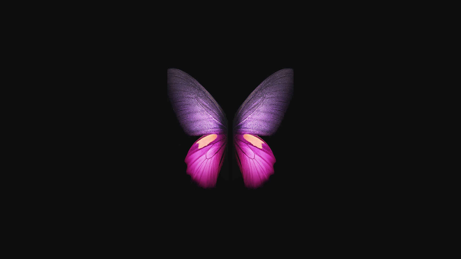 三星Galaxy Fold Butterfly 蝴蝶 唯美艺术4K壁纸