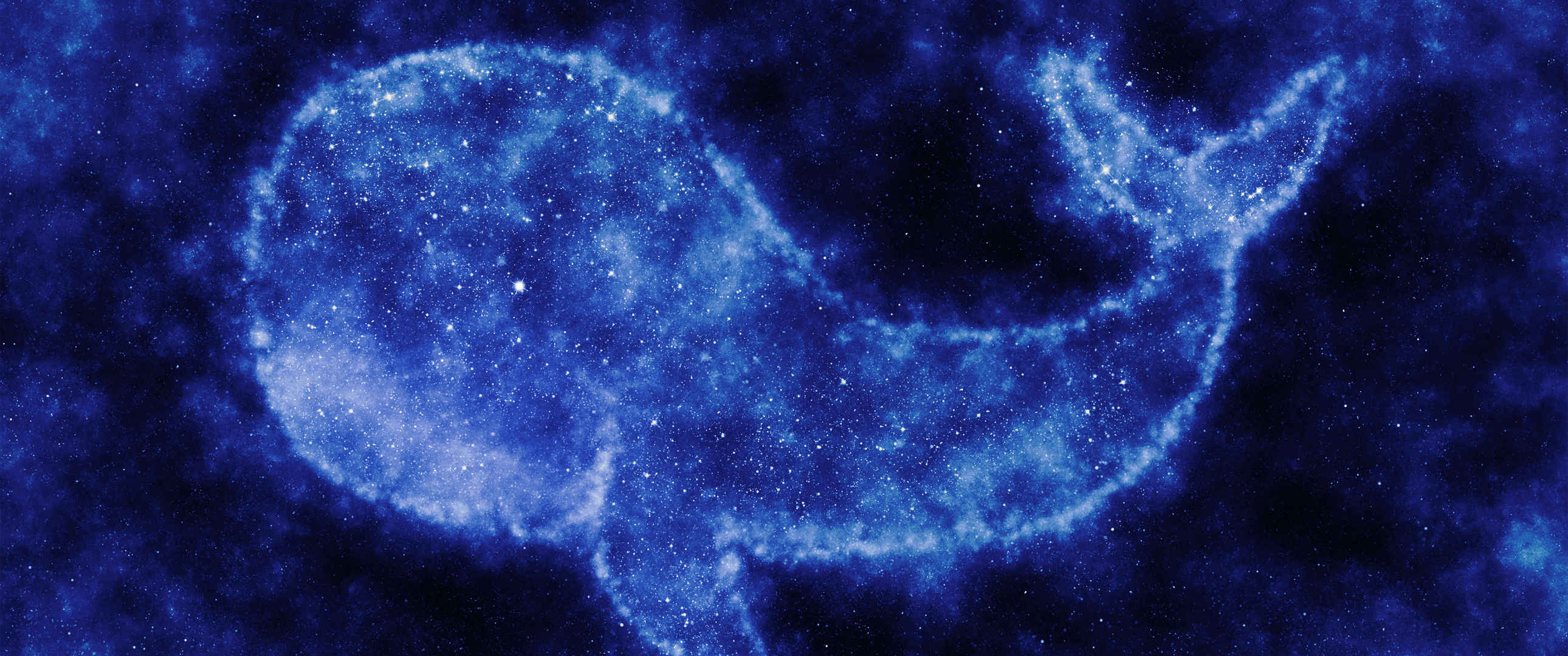 太空鲸鱼星星3440x1440唯美图片
