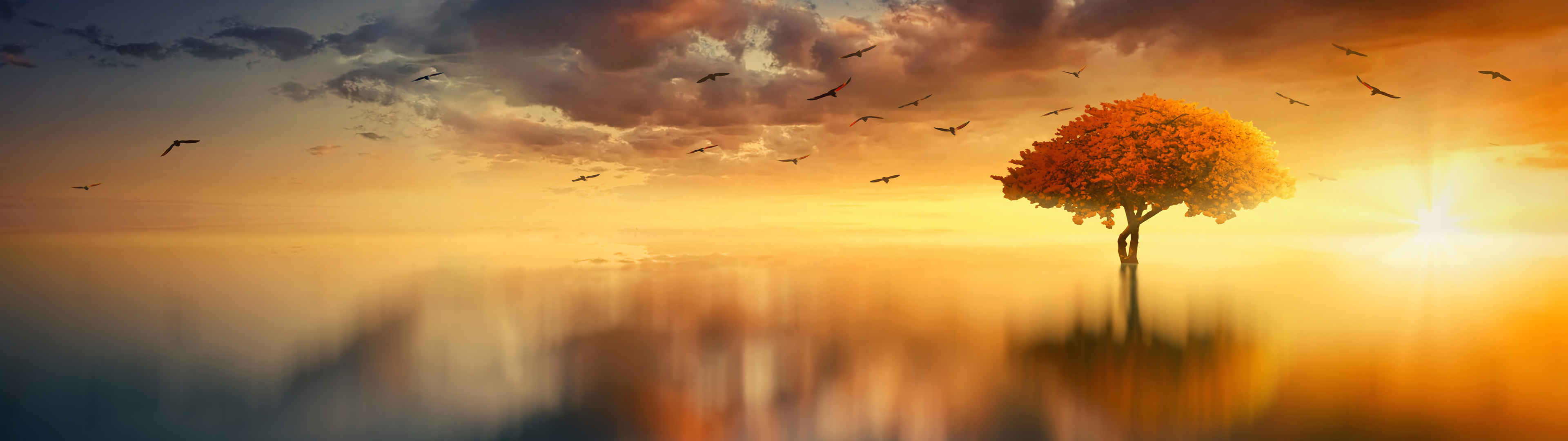 黄昏日落 太阳 ˮ 云 天空 海洋 树 唯美意境5120x1440风景图片