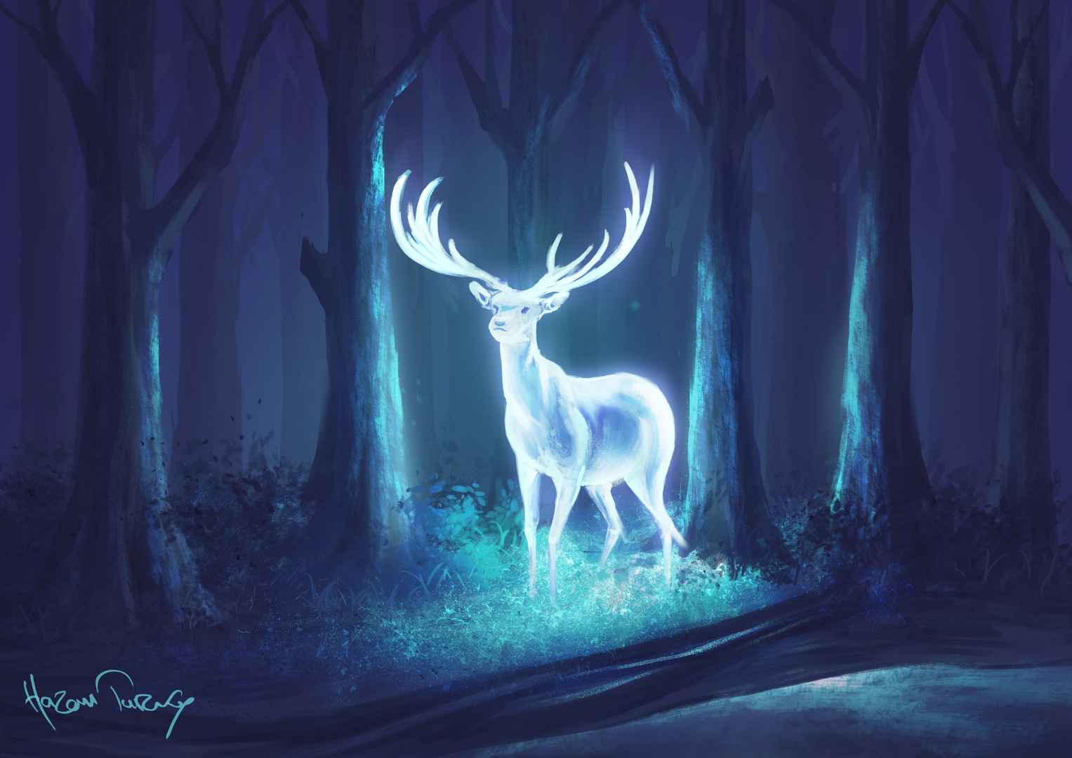 森林里的鹿 晚上 唯美艺术4k壁纸