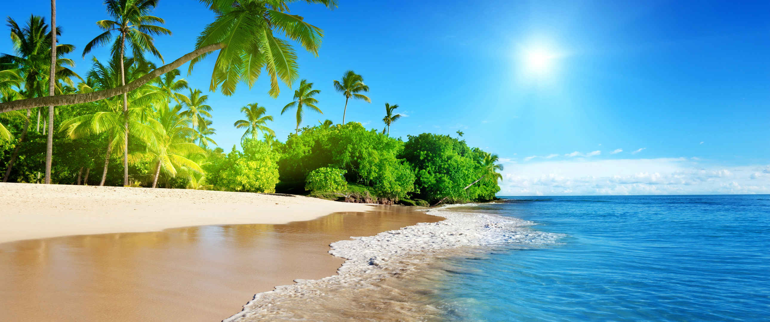 蔚蓝的大海,阳光,棕榈树,沙滩,3440x1440风景壁纸