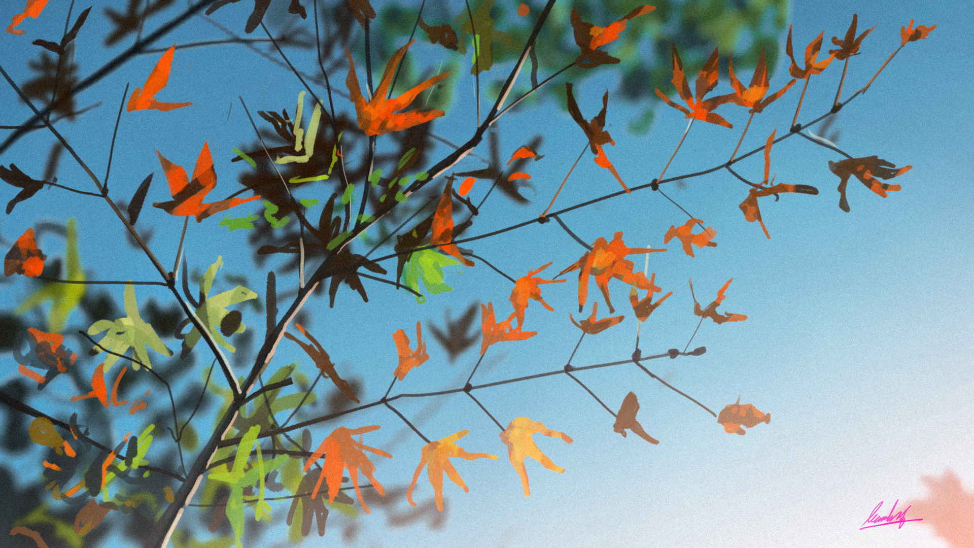 深秋枫叶让人看了就静心的图片大全