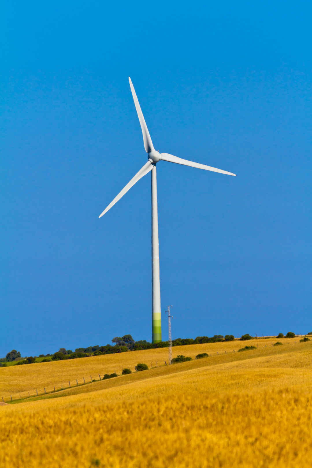 金色麦田里的风力涡轮机发电风车手机壁纸-
