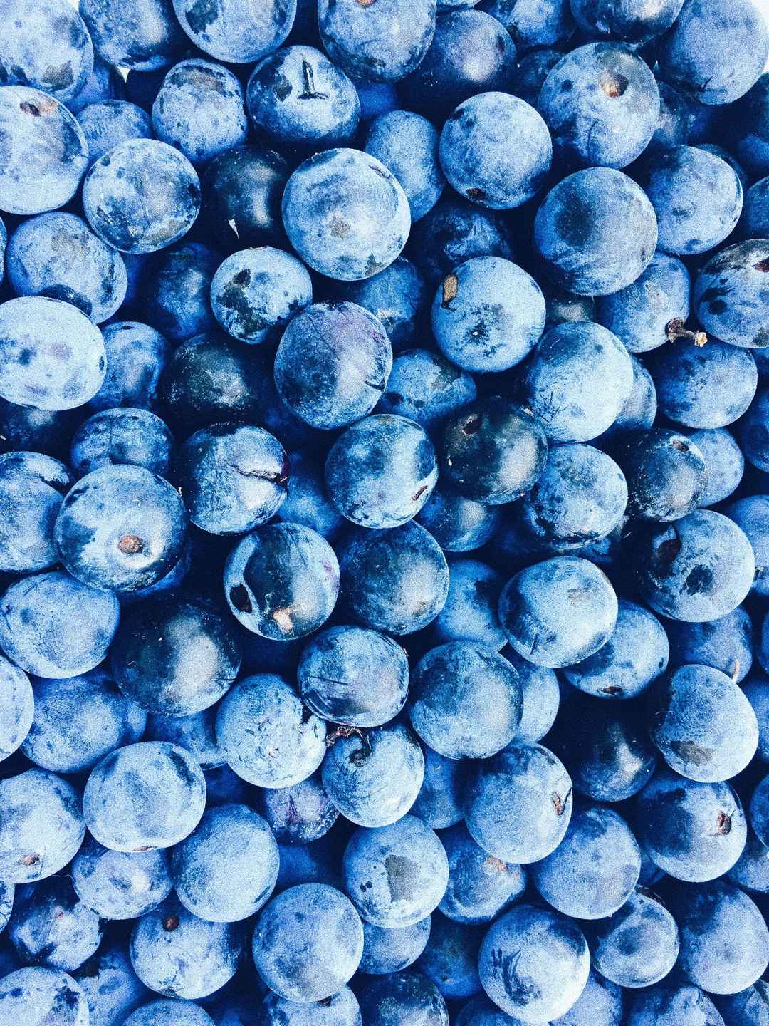 新鲜好吃的蓝莓手机壁纸