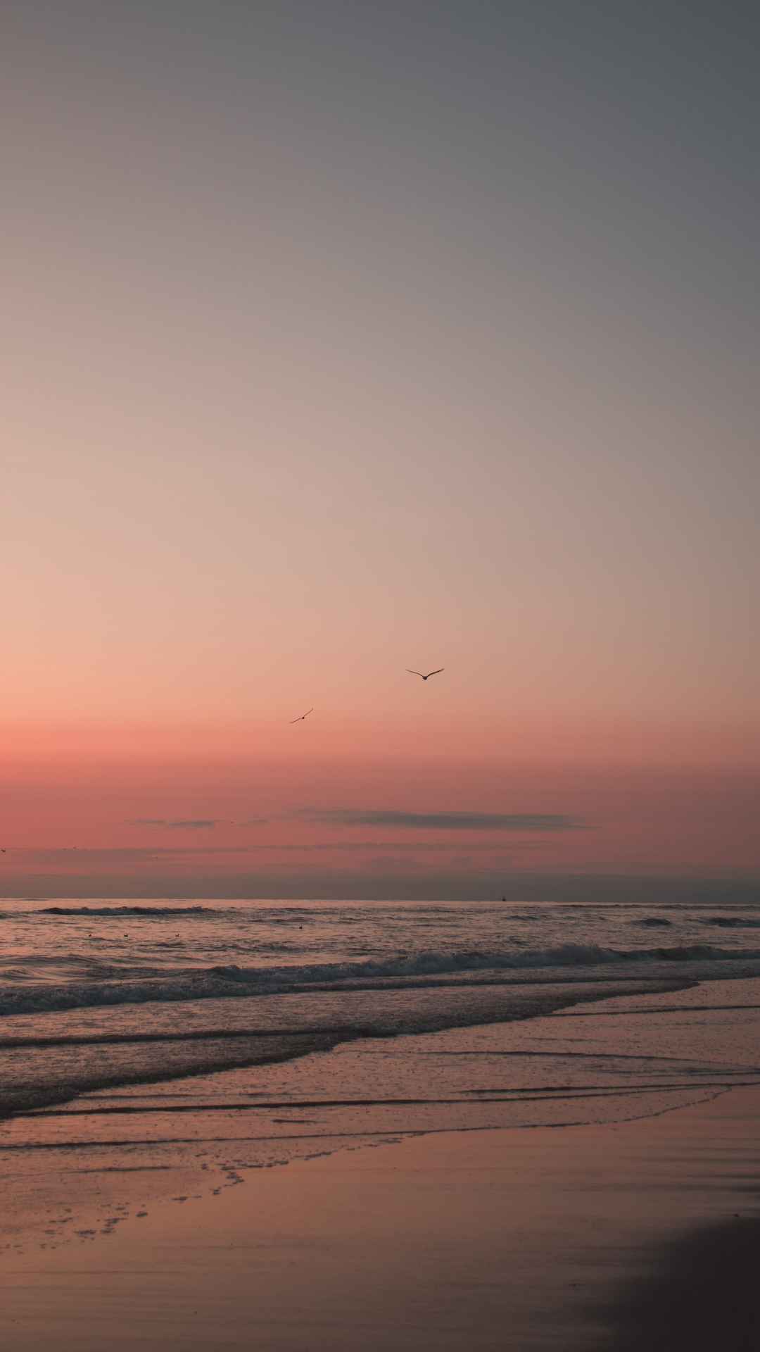 夕阳中的海滩手机壁纸