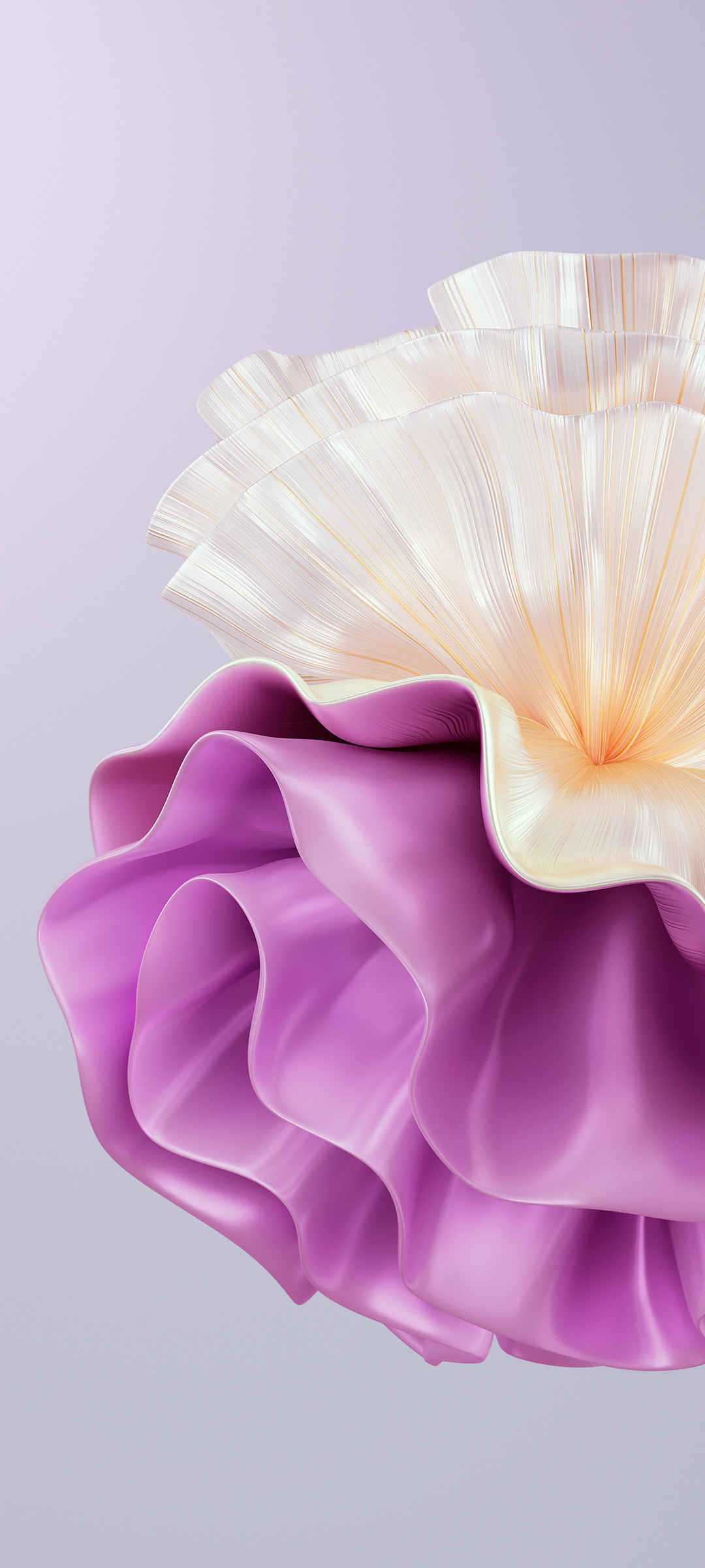华为P60 紫色花朵壁纸图片-