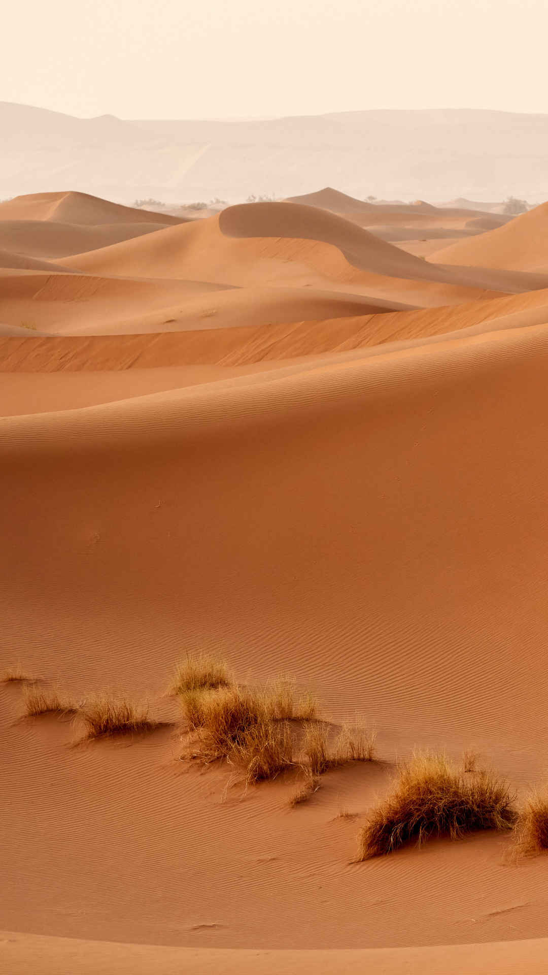 沙漠高清手机壁纸
