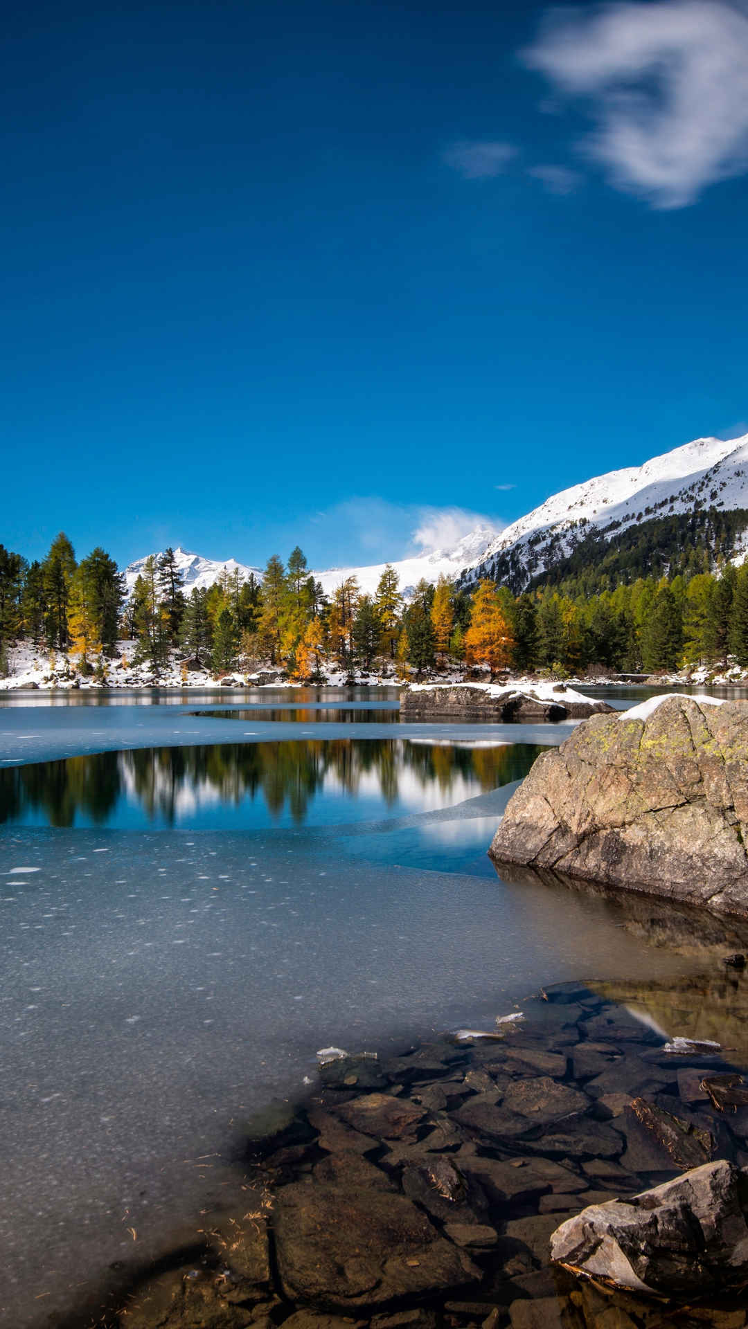 瑞士 蓝天 湖泊 树林手机壁纸