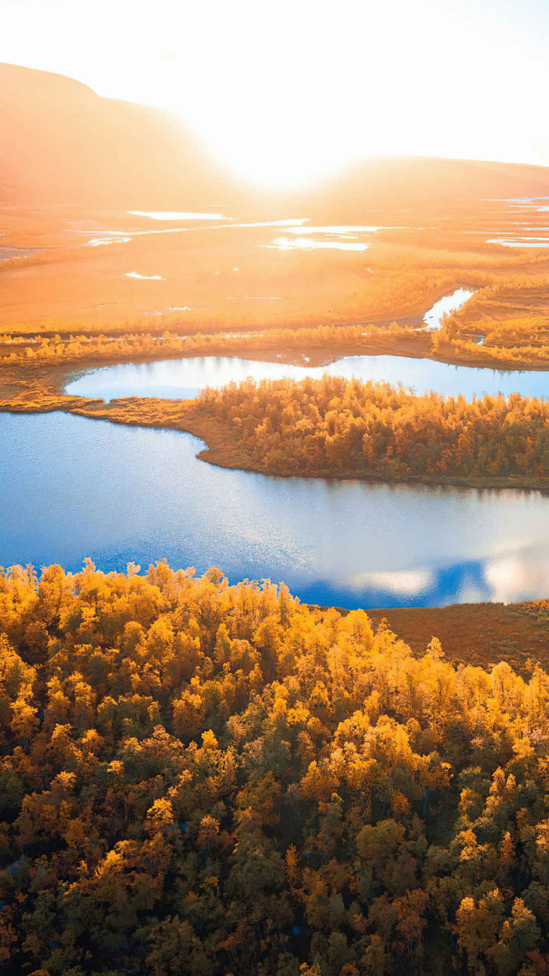 瑞典 拉普兰 日出 河流 森林手机壁纸