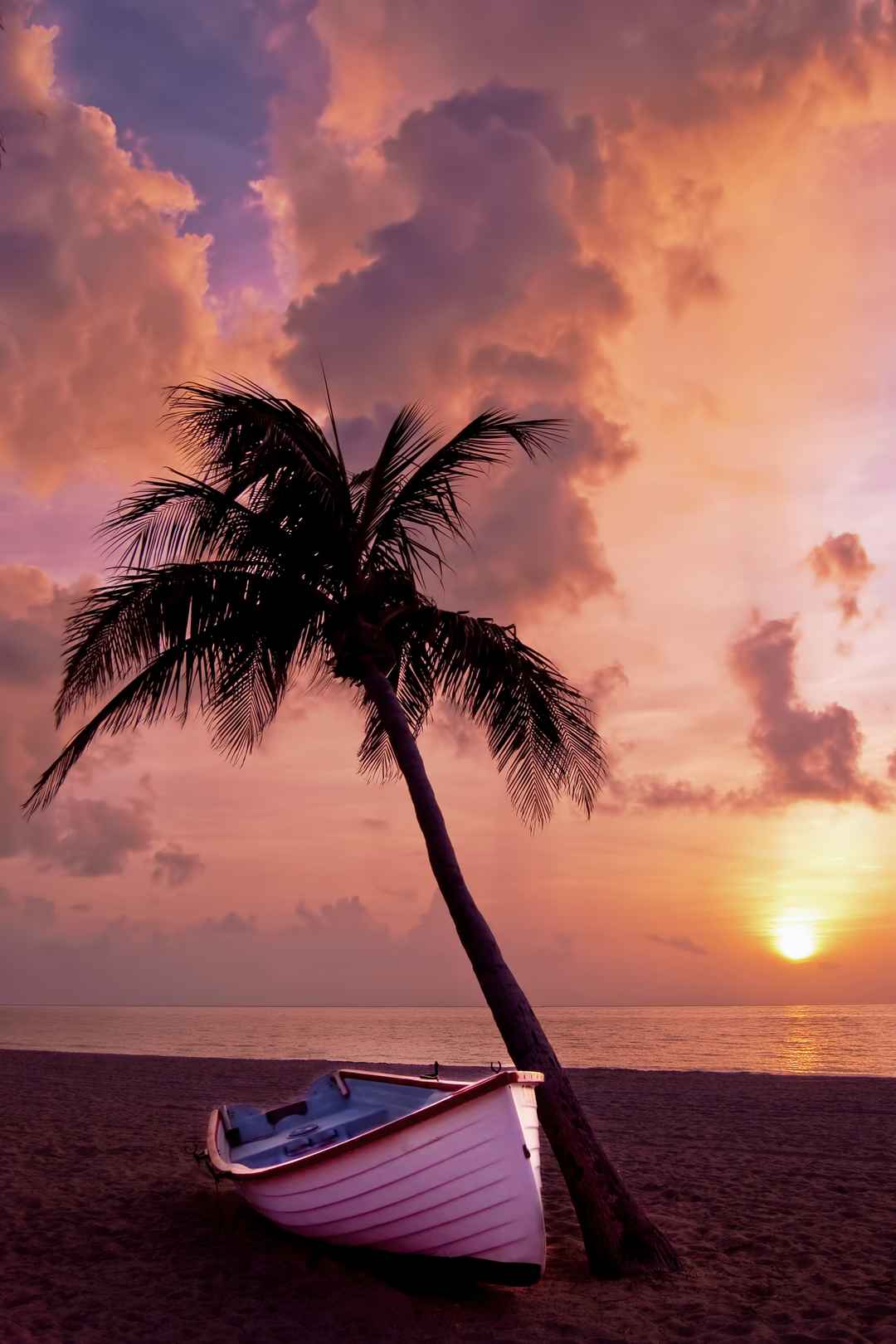 海洋 日落 棕榈树 小船 沙滩  壁纸