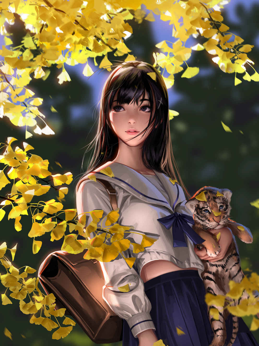 秋天银杏树女学生抱着小老虎图片