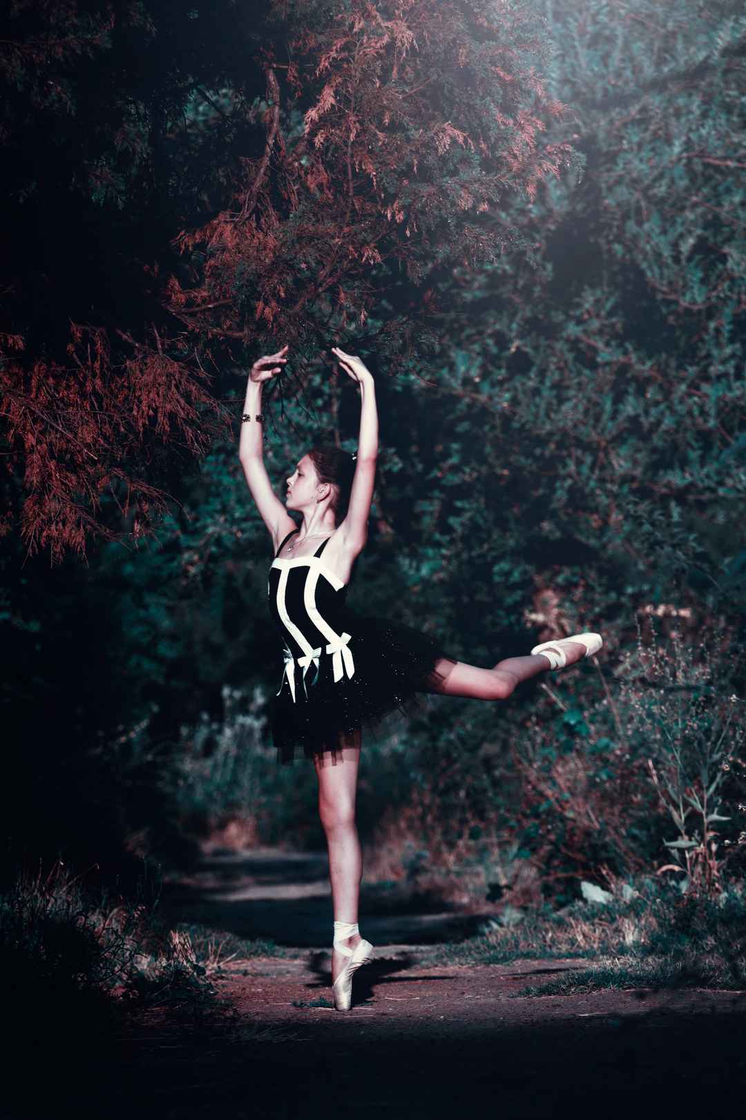 芭蕾舞树美女壁纸图片