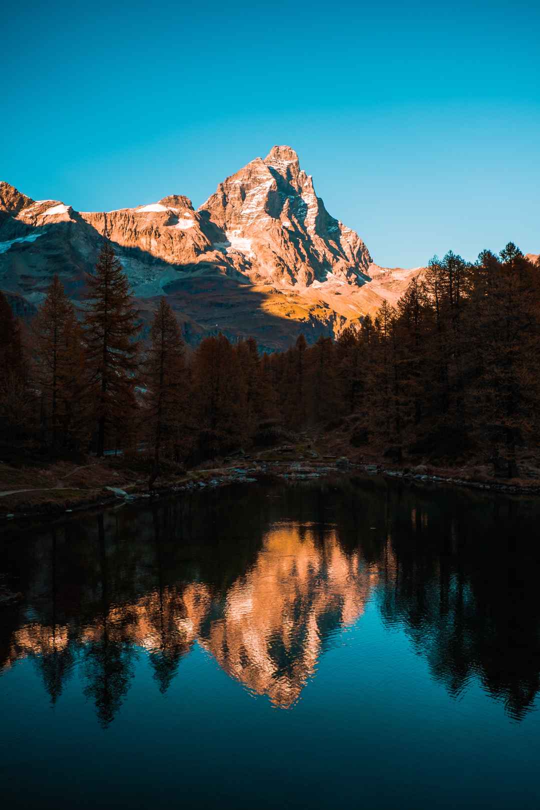 湖泊 森林 雪山 图片