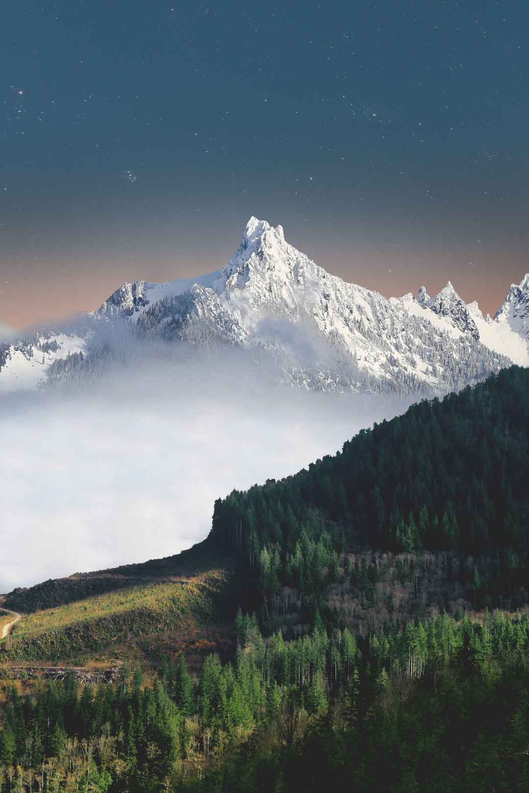 雪山 森林 图片