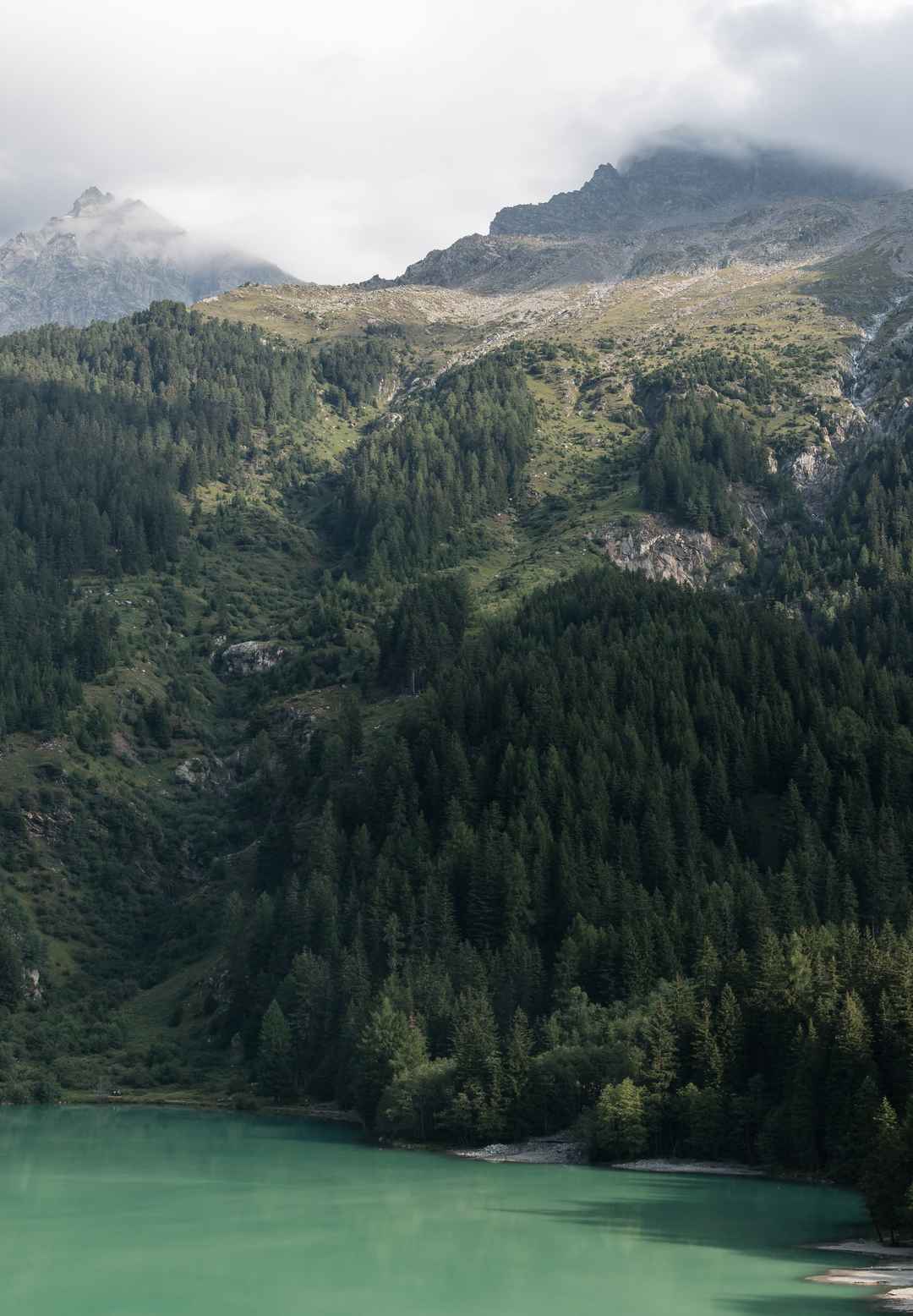 高山流水图片