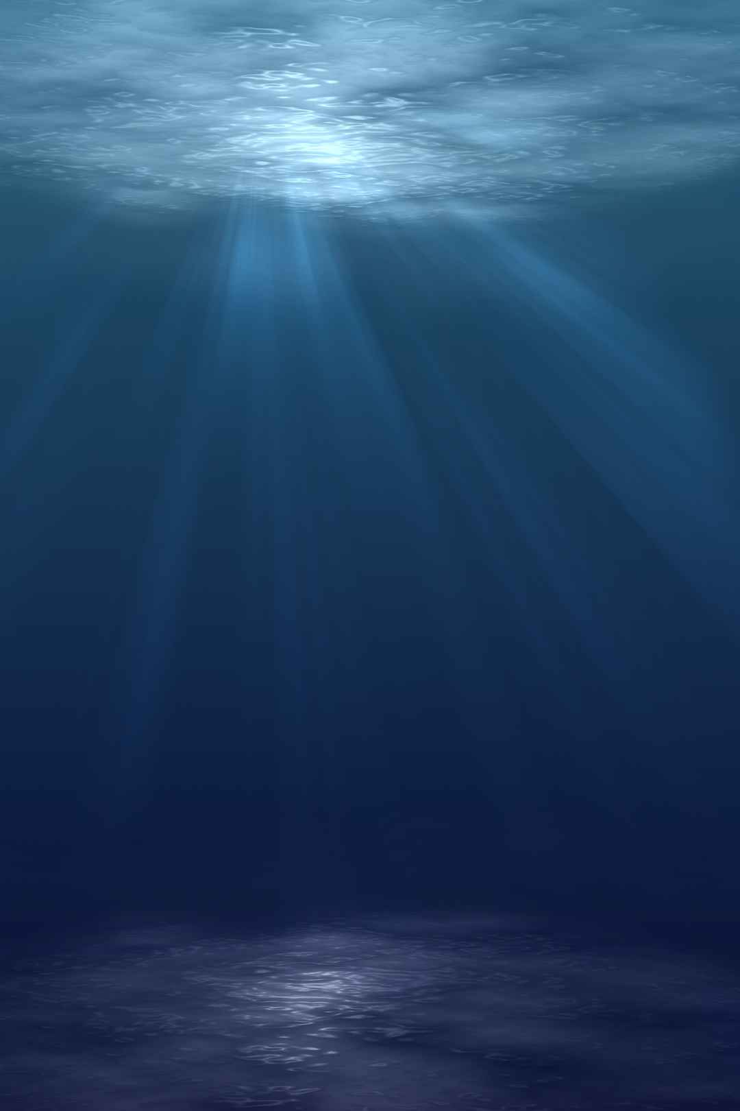 水下 海洋 图片