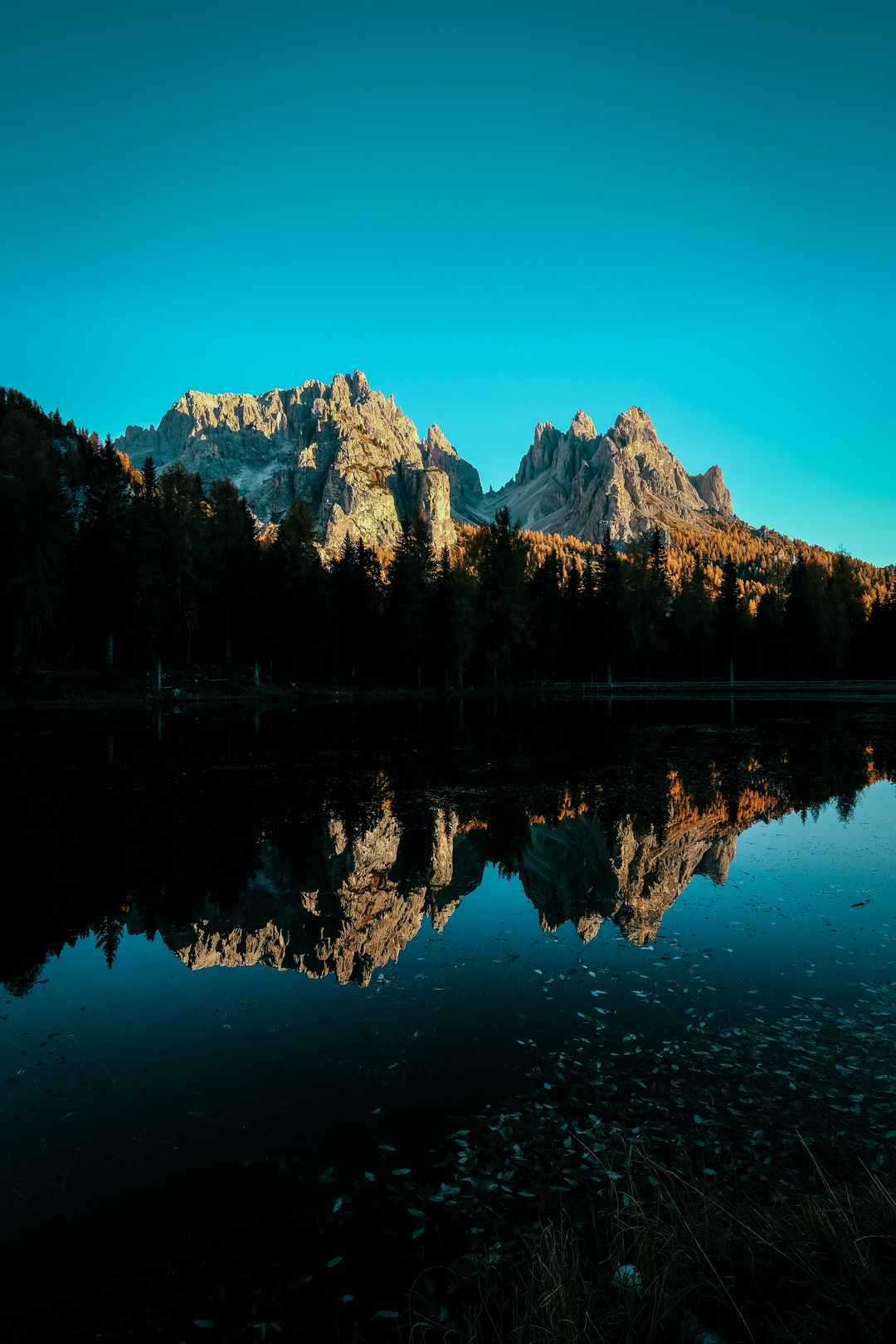 森林湖光山色最美自然风景图片