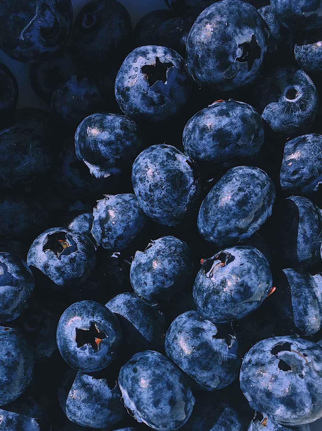 蓝莓 特写 图片