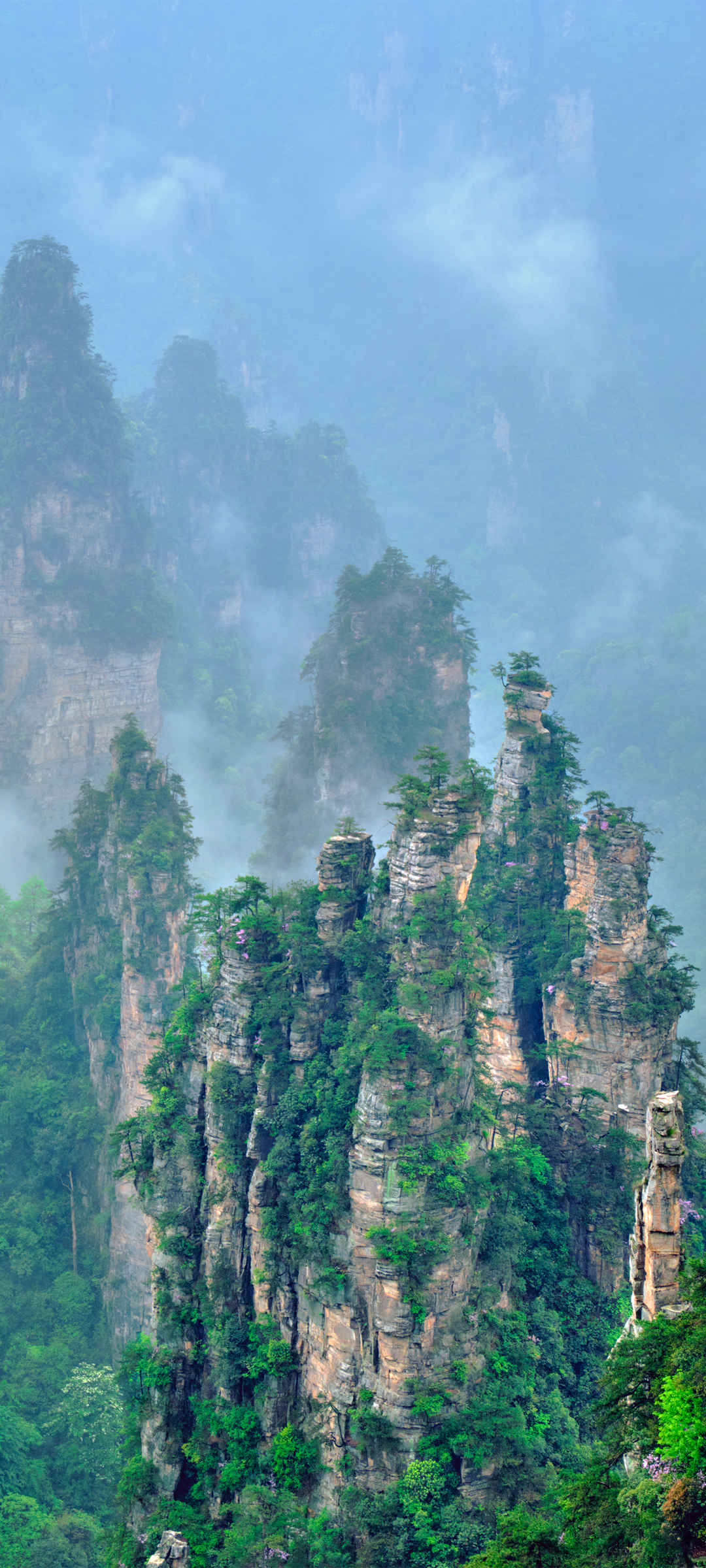 石林风景高清壁纸-