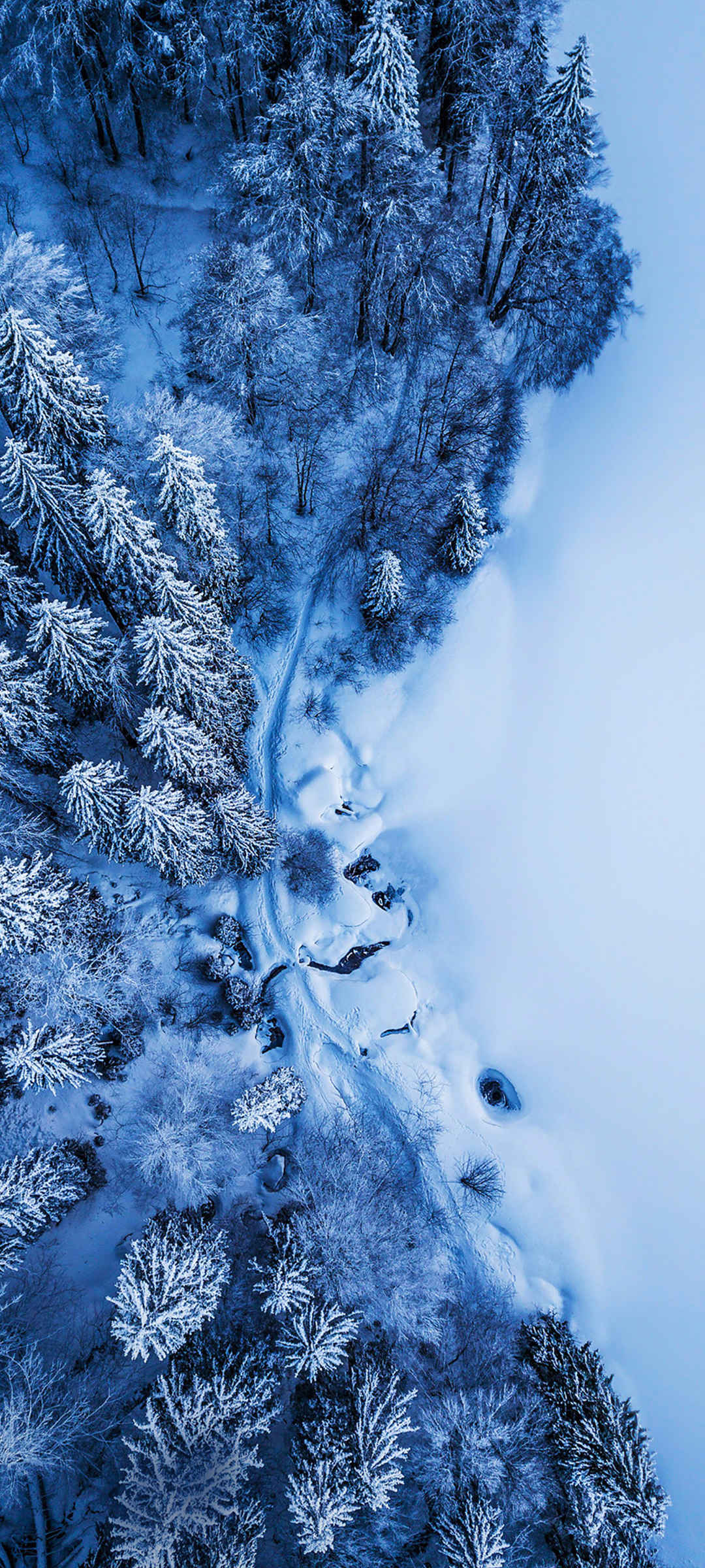 鸟瞰 雪景 树林 风景手机壁纸-