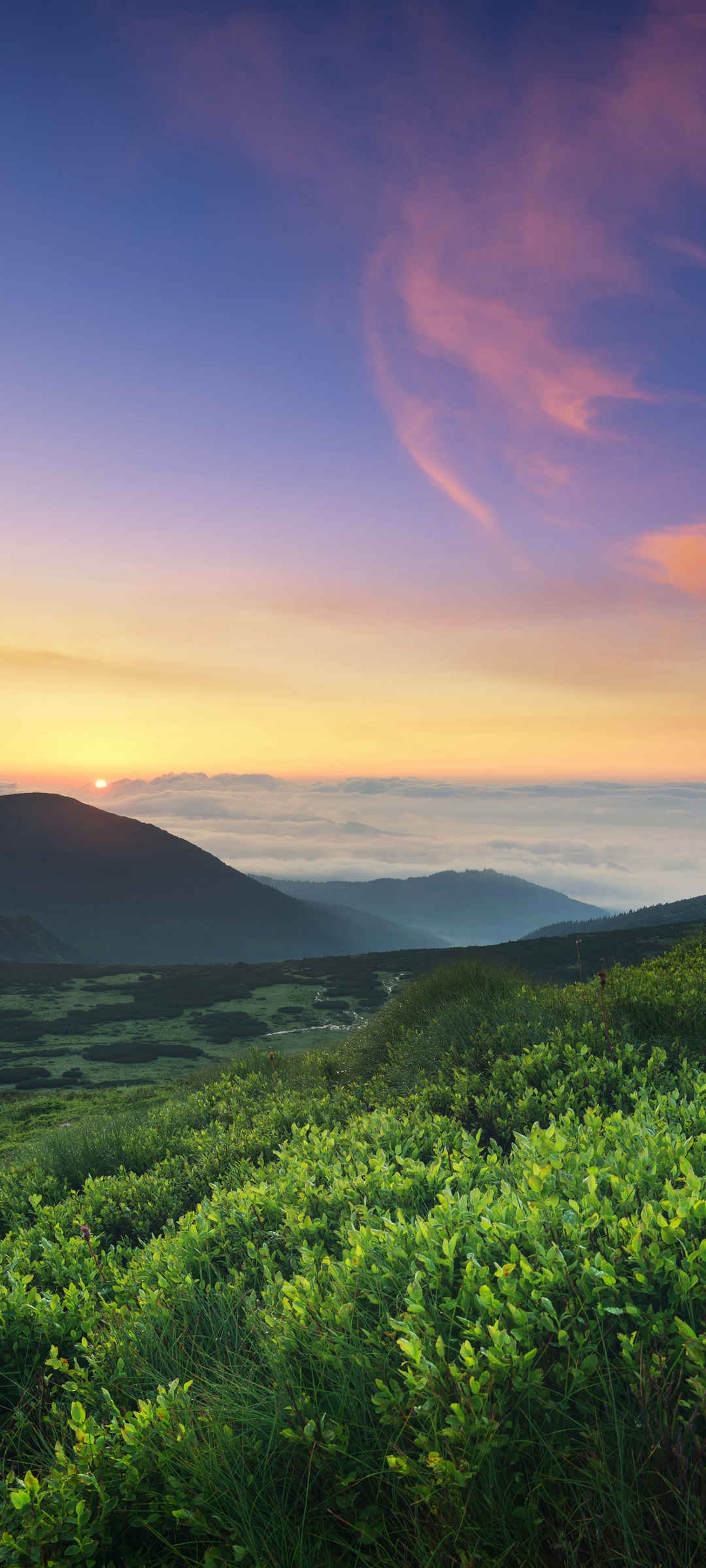 天空 云  自然风景 竖屏 壁纸